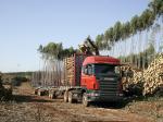 Scania R500 6x2 Highline Timber Truck 2004 года